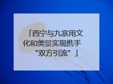 西宁与九寨用文化和美景实现携手“双方引流”