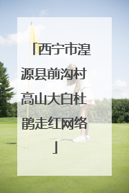 西宁市湟源县前沟村高山大白杜鹃走红网络