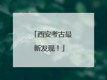 西安考古最新发现！