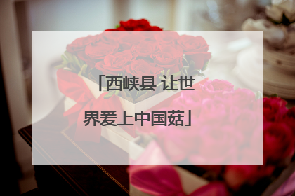西峡县 让世界爱上中国菇