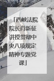 西峡法院院长肖新征讲授贯彻中央八项规定精神专题党课
