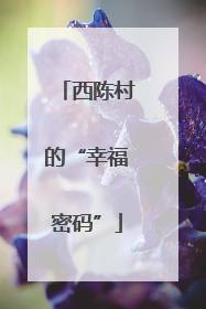 西陈村的“幸福密码”