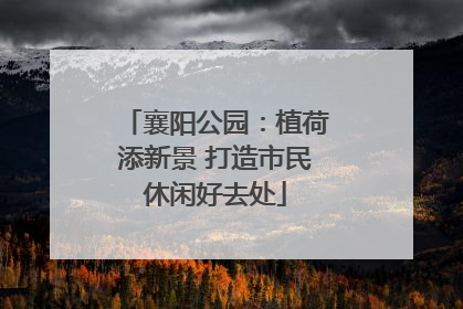 襄阳公园：植荷添新景 打造市民休闲好去处