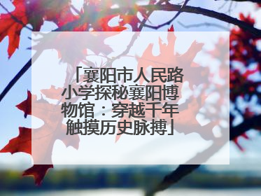 襄阳市人民路小学探秘襄阳博物馆：穿越千年触摸历史脉搏