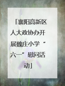 襄阳高新区人大政协办开展魏庄小学“六一”慰问活动
