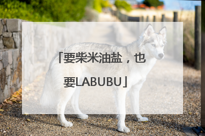 要柴米油盐，也要LABUBU