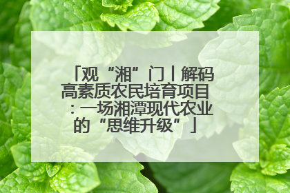 观“湘”门丨解码高素质农民培育项目：一场湘潭现代农业的“思维升级”