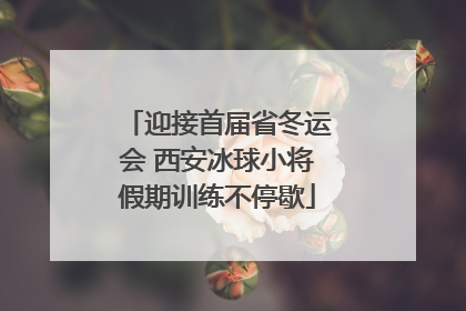 迎接首届省冬运会 西安冰球小将假期训练不停歇