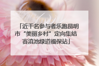 近千名参与者乐跑昆明市“美丽乡村”定向集结赛滇池绿道福保站