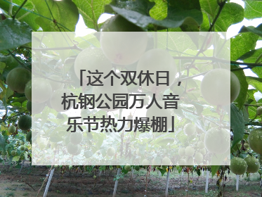 这个双休日，杭钢公园万人音乐节热力爆棚