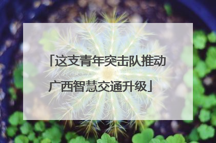 这支青年突击队推动广西智慧交通升级