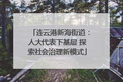 连云港新海街道：人大代表下基层 探索社会治理新模式