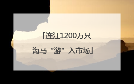 连江1200万只海马“游”入市场