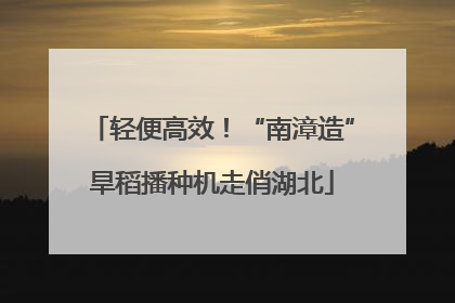 轻便高效！“南漳造”旱稻播种机走俏湖北