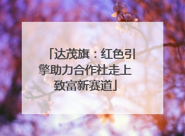 达茂旗：红色引擎助力合作社走上致富新赛道