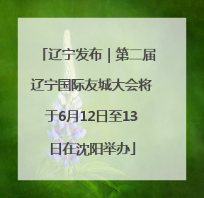 辽宁发布｜第二届辽宁国际友城大会将于6月12日至13日在沈阳举办