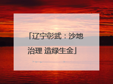 辽宁彰武：沙地治理 造绿生金