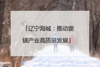 辽宁海城：推动菱镁产业高质量发展