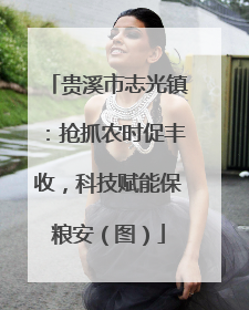 贵溪市志光镇：抢抓农时促丰收，科技赋能保粮安（图）