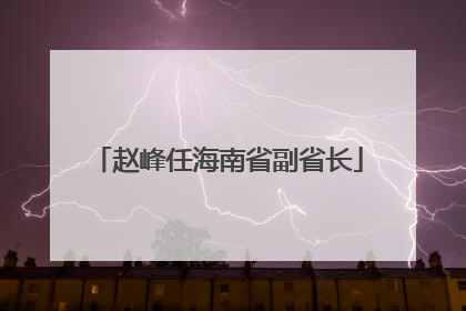 赵峰任海南省副省长