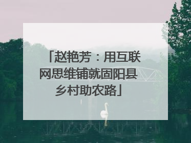 赵艳芳：用互联网思维铺就固阳县乡村助农路