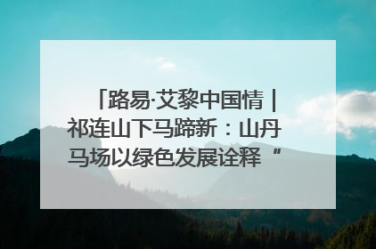 路易·艾黎中国情｜祁连山下马蹄新：山丹马场以绿色发展诠释“两山”理论实践