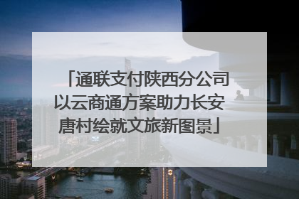 通联支付陕西分公司以云商通方案助力长安唐村绘就文旅新图景