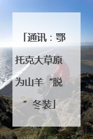 通讯：鄂托克大草原为山羊“脱”冬装
