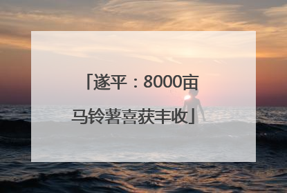 遂平：8000亩马铃薯喜获丰收