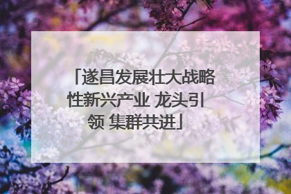 遂昌发展壮大战略性新兴产业 龙头引领 集群共进