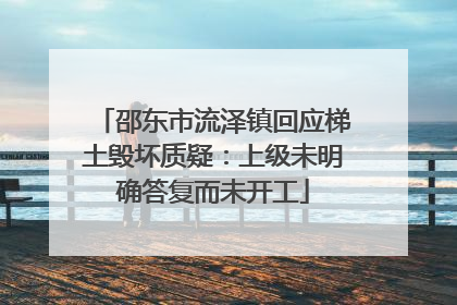 邵东市流泽镇回应梯土毁坏质疑：上级未明确答复而未开工