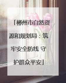 郴州市自然资源和规划局：筑牢安全防线 守护群众平安
