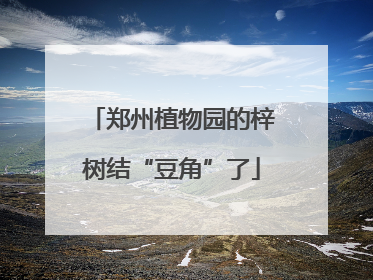 郑州植物园的梓树结“豆角”了