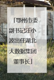 鄂州市委副书记汪小波出任湖北大数据集团董事长