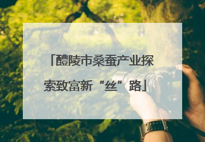 醴陵市桑蚕产业探索致富新“丝”路