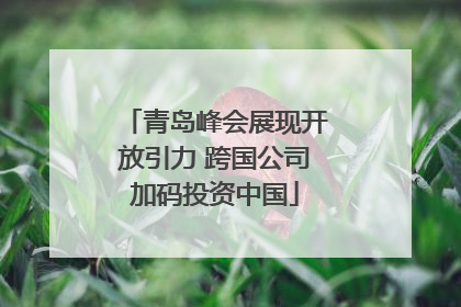 青岛峰会展现开放引力 跨国公司加码投资中国