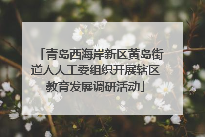 青岛西海岸新区黄岛街道人大工委组织开展辖区教育发展调研活动