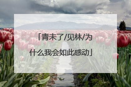 青未了/见林/为什么我会如此感动