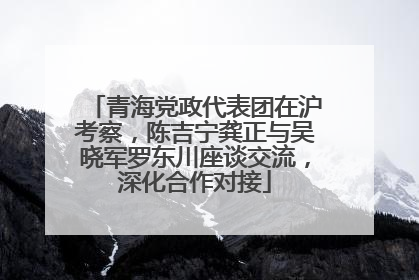 青海党政代表团在沪考察，陈吉宁龚正与吴晓军罗东川座谈交流，深化合作对接