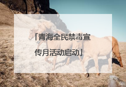 青海全民禁毒宣传月活动启动