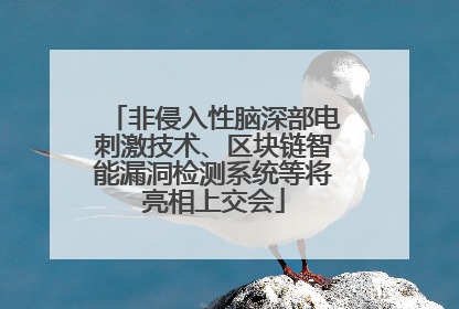 非侵入性脑深部电刺激技术、区块链智能漏洞检测系统等将亮相上交会