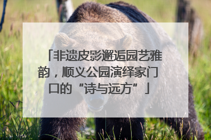 非遗皮影邂逅园艺雅韵，顺义公园演绎家门口的“诗与远方”