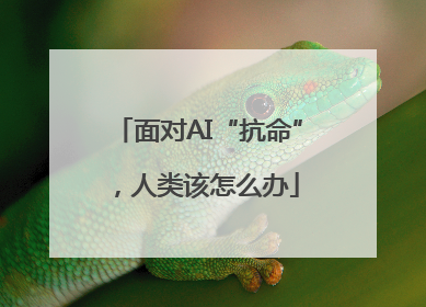 面对AI“抗命”，人类该怎么办