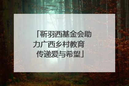 靳羽西基金会助力广西乡村教育 传递爱与希望
