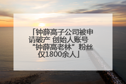 钟薛高子公司被申请破产 创始人账号“钟薛高老林”粉丝仅1800余人