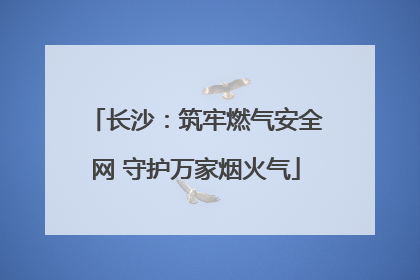长沙：筑牢燃气安全网 守护万家烟火气