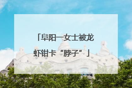 阜阳一女士被龙虾钳卡“脖子”