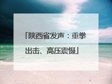 陕西省发声：重拳出击、高压震慑