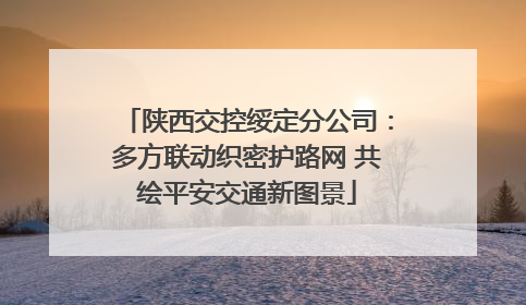 陕西交控绥定分公司：多方联动织密护路网 共绘平安交通新图景