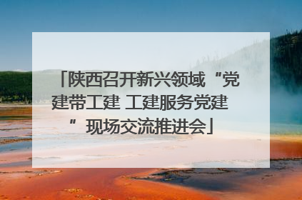 陕西召开新兴领域“党建带工建 工建服务党建”现场交流推进会